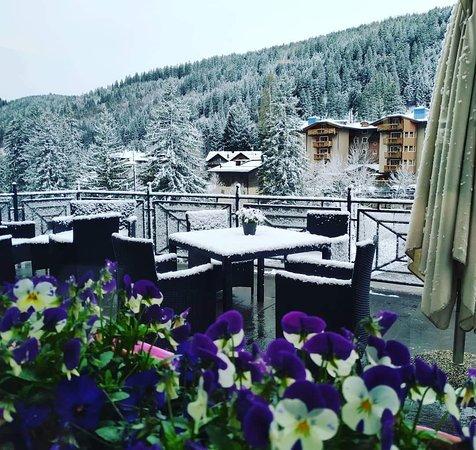 Bar Pasticceria Sissi